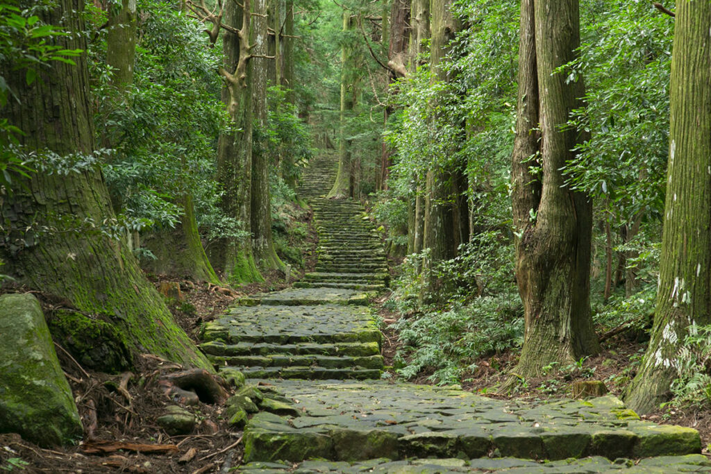 Cultural Etiquette: Understanding Japanese Customs and Traditions on the Kumano Kodo Trail